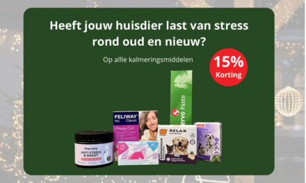 Stress bij huisdieren rond oud en nieuw!