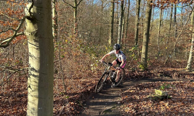 Lopers Bos Bedden Loopgroep AG ’85 bij meerdere evenementen actief