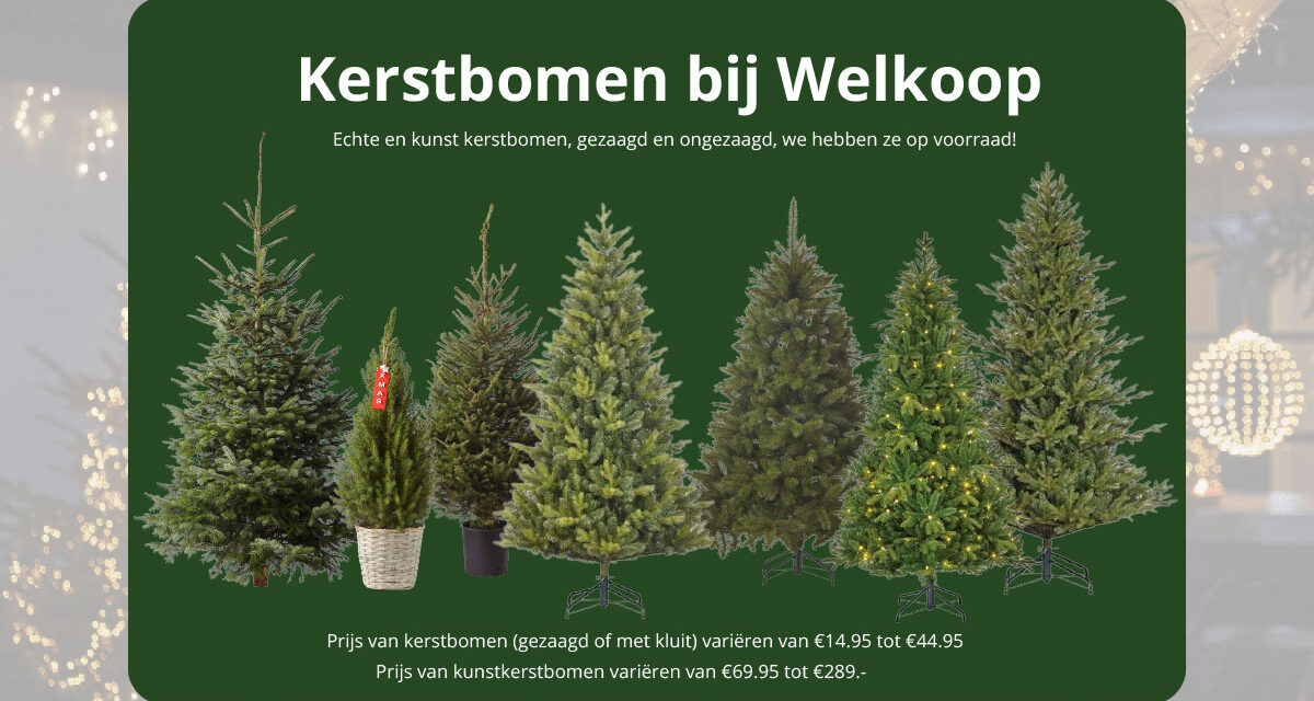 Kerstbomen bij Welkoop Staphorst