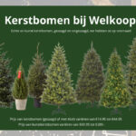 Kerstbomen bij Welkoop Staphorst