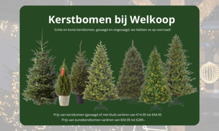 Kerstbomen bij Welkoop Staphorst