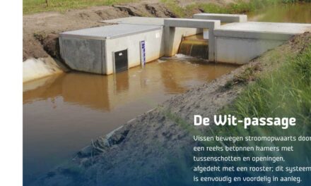Waterschap geeft vissen de ruimte en legt extra vispassages aan