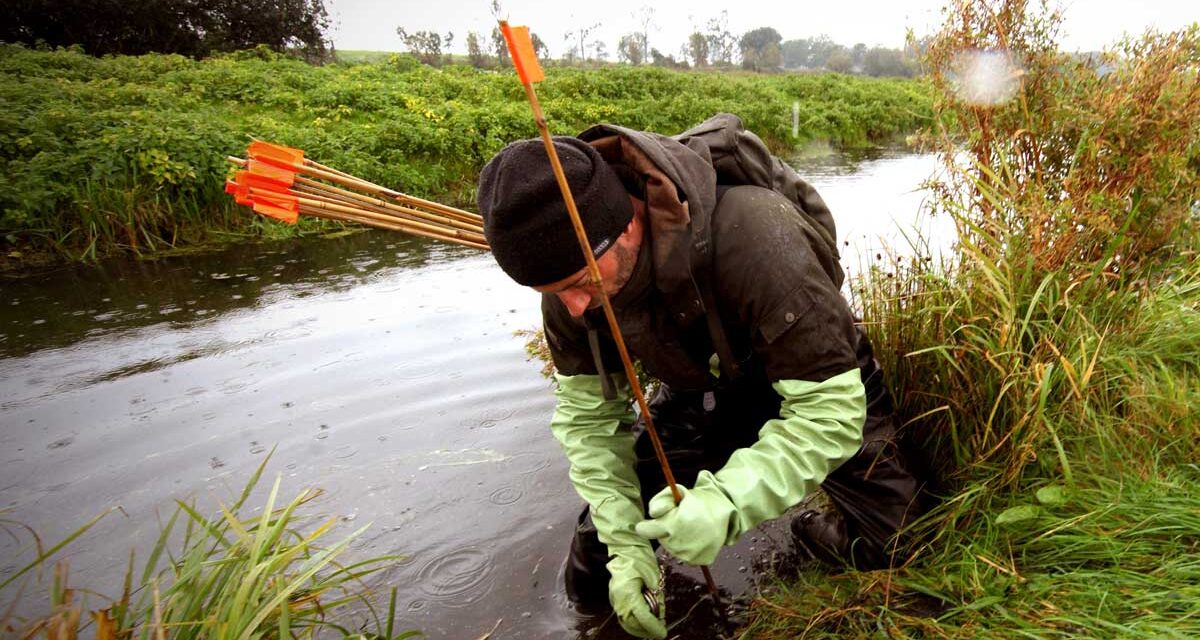 Meer muskus- en beverratten gevangen langs Duitse grens Noordoost-Nederland  