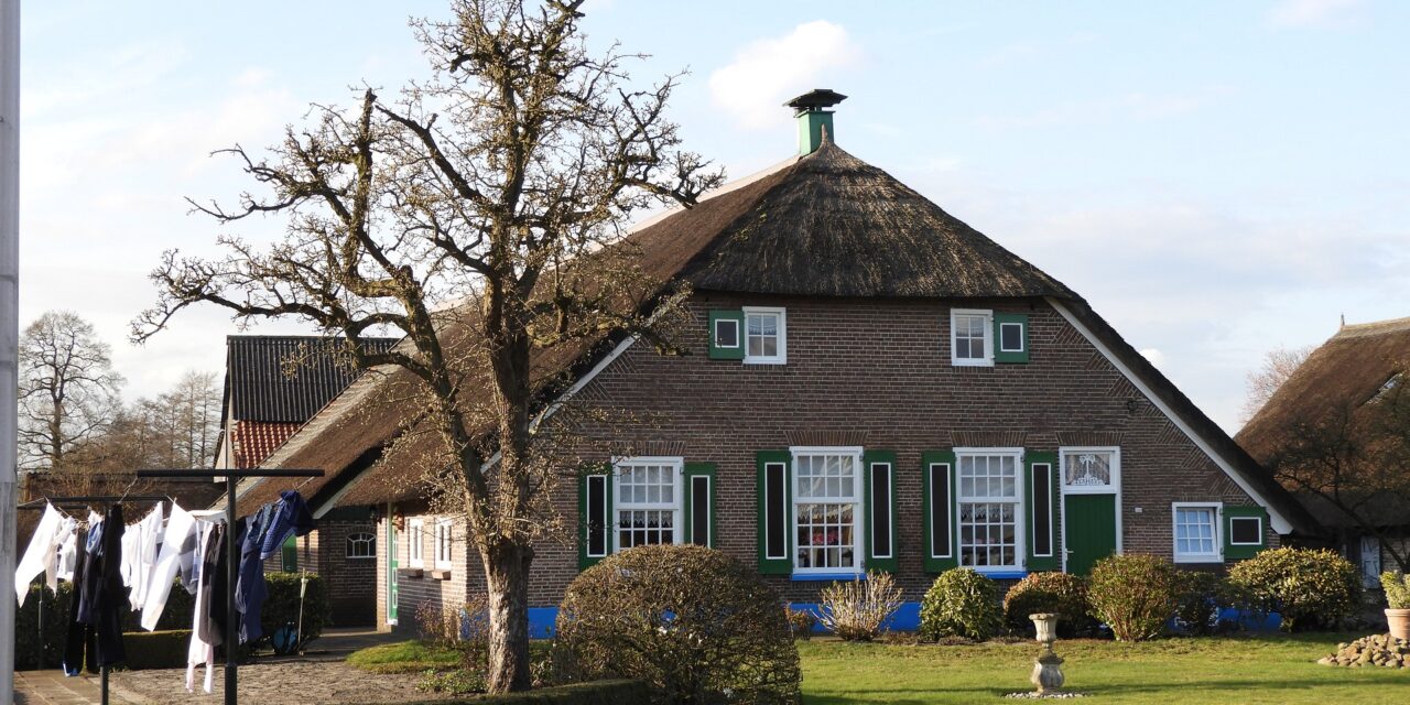 Hoe het dorpse leven moderniseert