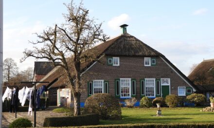 Hoe het dorpse leven moderniseert