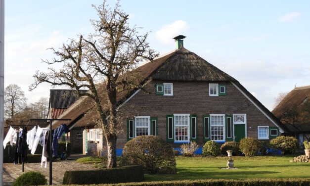 Hoe het dorpse leven moderniseert