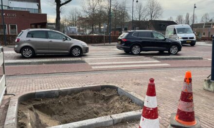 Bomen rondom rotonde leggen loodje