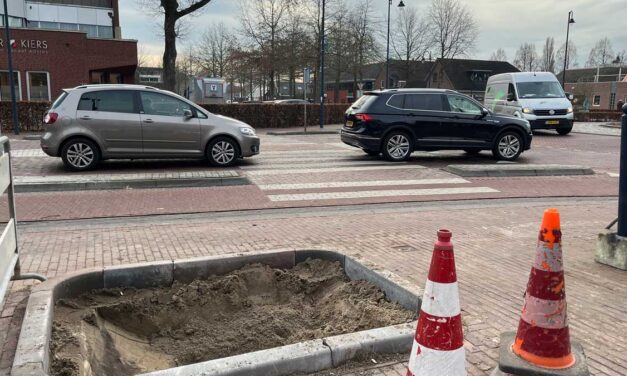 Bomen rondom rotonde leggen loodje
