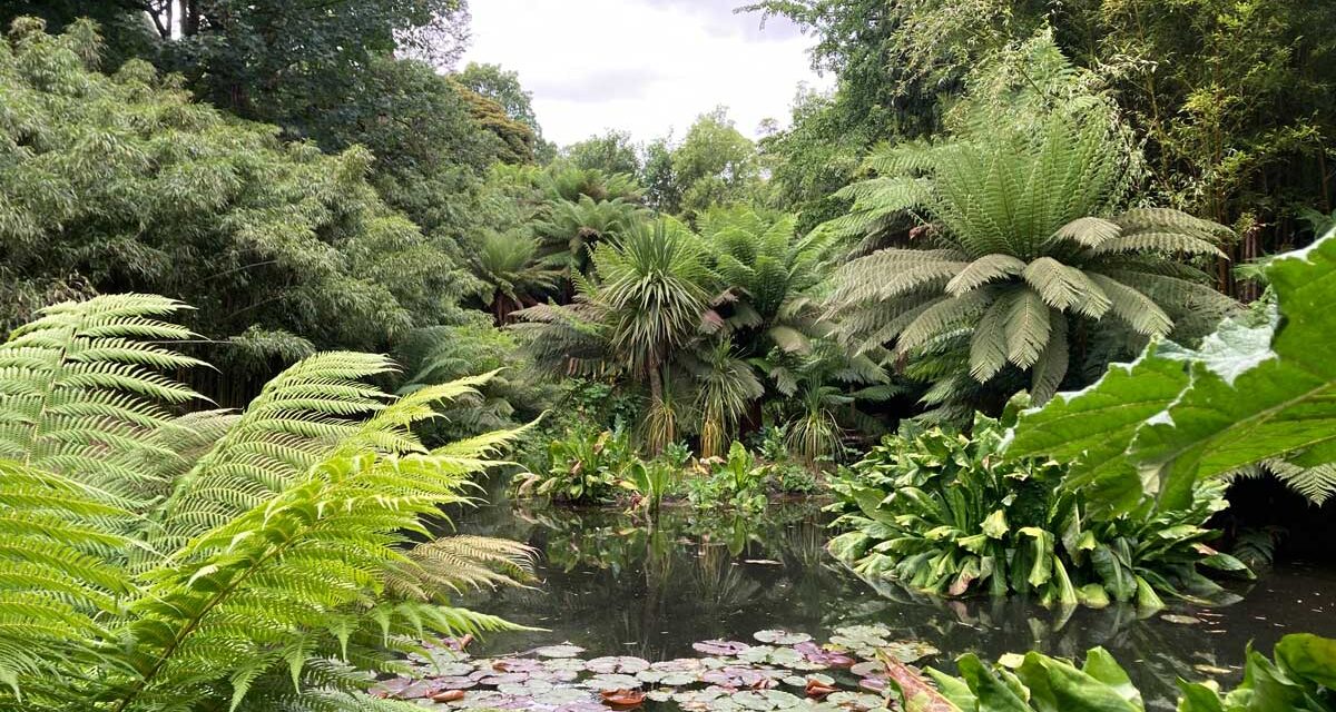 Janny Niehoff: Reis kriskras door Engeland en Noord-Ierland