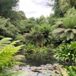 Janny Niehoff: Reis kriskras door Engeland en Noord-Ierland