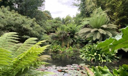 Janny Niehoff: Reis kriskras door Engeland en Noord-Ierland