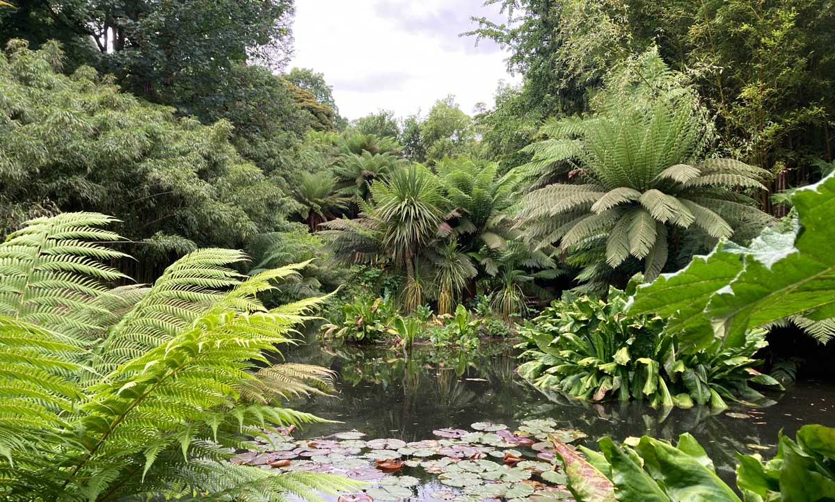 Janny Niehoff: Reis kriskras door Engeland en Noord-Ierland