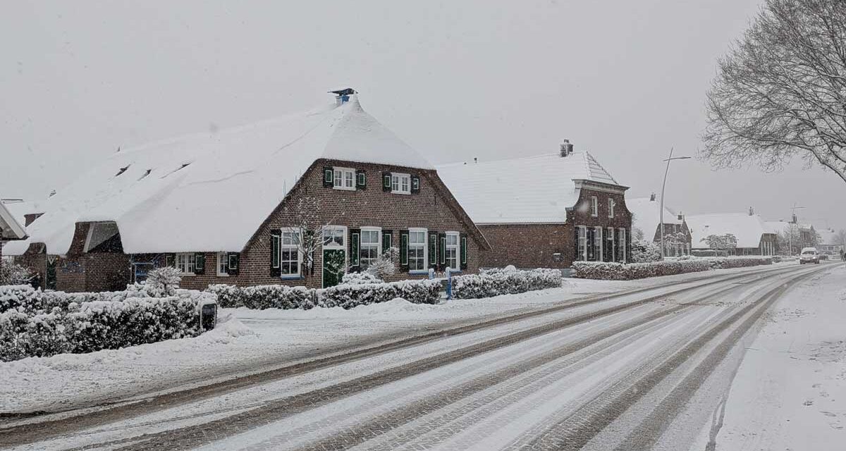 Foto van de dag: meerdere inzendingen