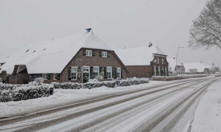 Foto van de dag: meerdere inzendingen