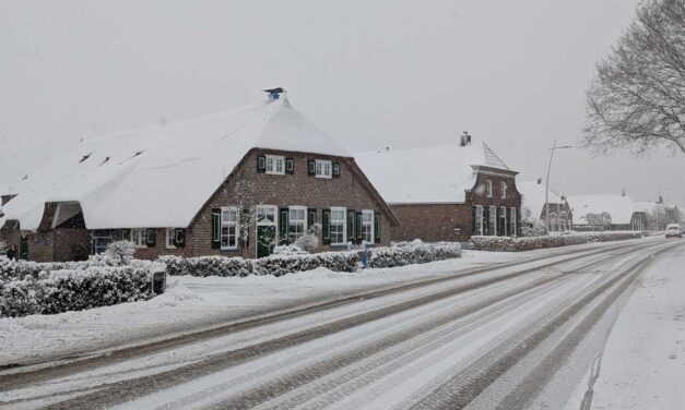 Foto van de dag: meerdere inzendingen