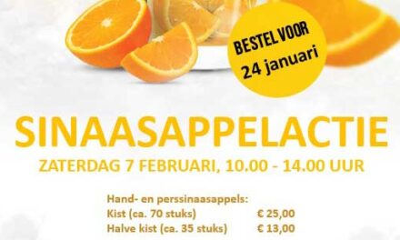 Sinaasappelactie voor Jedidja