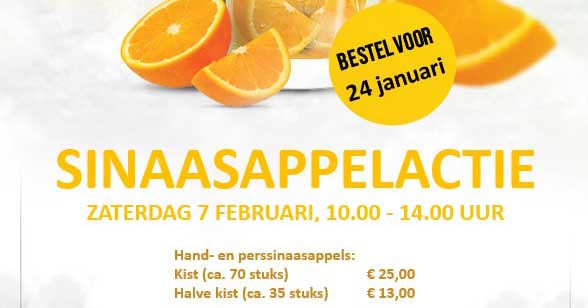 Sinaasappelactie voor Jedidja