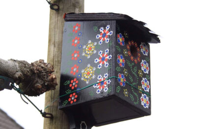 🎨🔨 Creatieve start van 2026: Timmermiddag voor de Jeugd! 🔨🎨