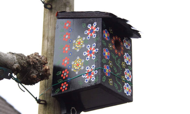 🎨🔨 Creatieve start van 2026: Timmermiddag voor de Jeugd! 🔨🎨