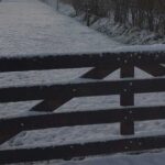 Staphorst in witte dracht