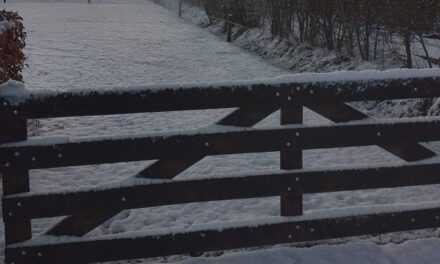 Staphorst in witte dracht