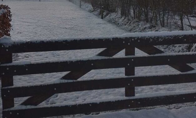 Staphorst in witte dracht