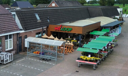 Groot aanbod voermixen voor hobbyboeren bij Welkoop Staphorst