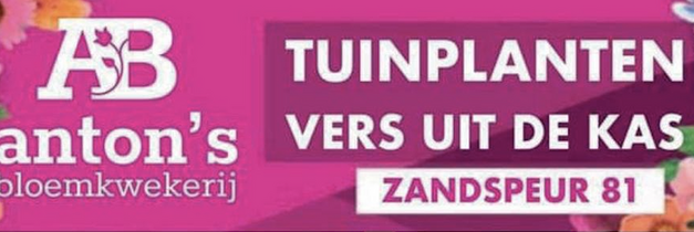 Voorjaarsbollen in groot assortiment