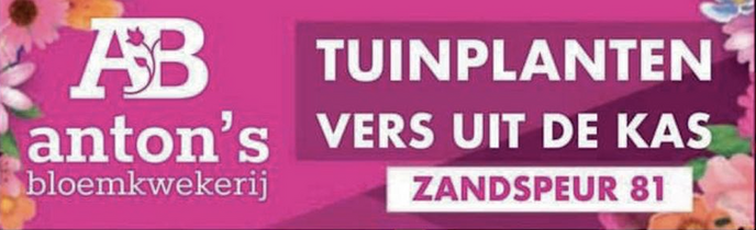 Voorjaarsbollen in groot assortiment