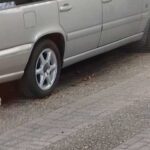 Van wie is dit konijn?