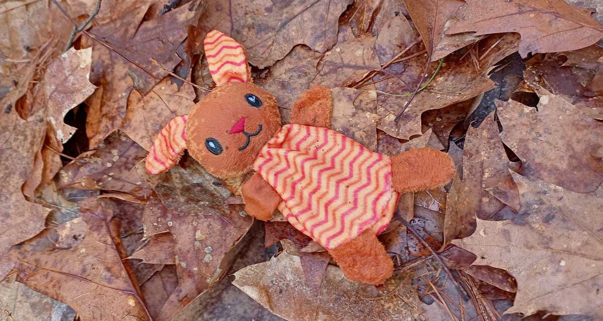 Knuffel gevonden in Staphorster bos