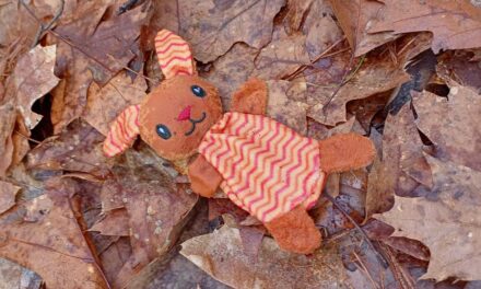 Knuffel gevonden in Staphorster bos