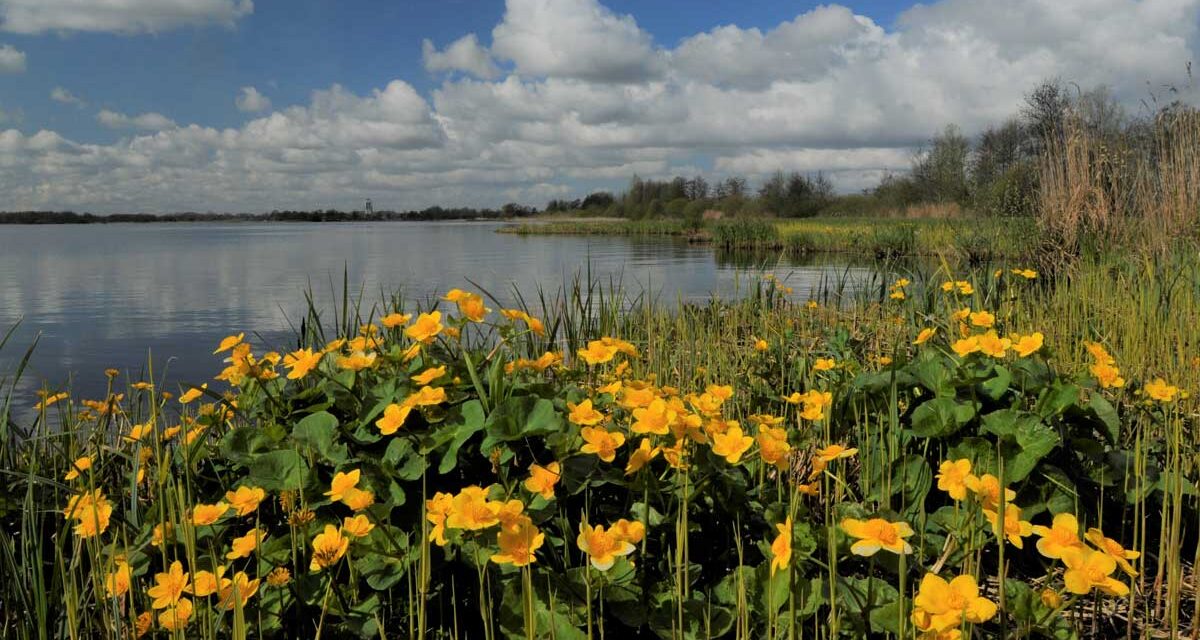 Lezing Paul van Gaalen over De Wieden