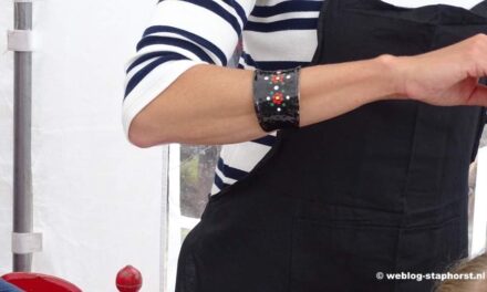 Staphorster stipwerk: ambacht met toekomst, nieuwe opleiding start in maart