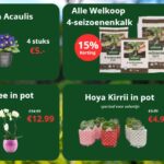 Lopende acties bij Welkoop Staphorst