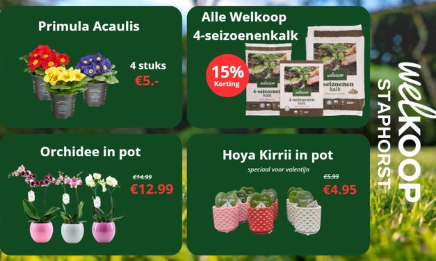Lopende acties bij Welkoop Staphorst