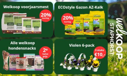 Lopende acties bij Welkoop Staphorst