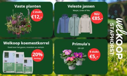 Maak je tuin voorjaars klaar met Welkoop!