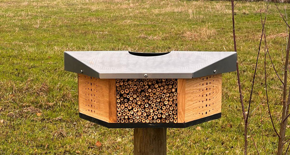 Gemeente Staphorst plaatst bijenhotels voor natuuronderzoek