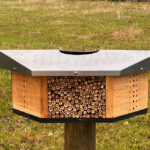 Gemeente Staphorst plaatst bijenhotels voor natuuronderzoek