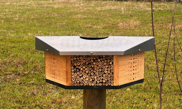 Gemeente Staphorst plaatst bijenhotels voor natuuronderzoek
