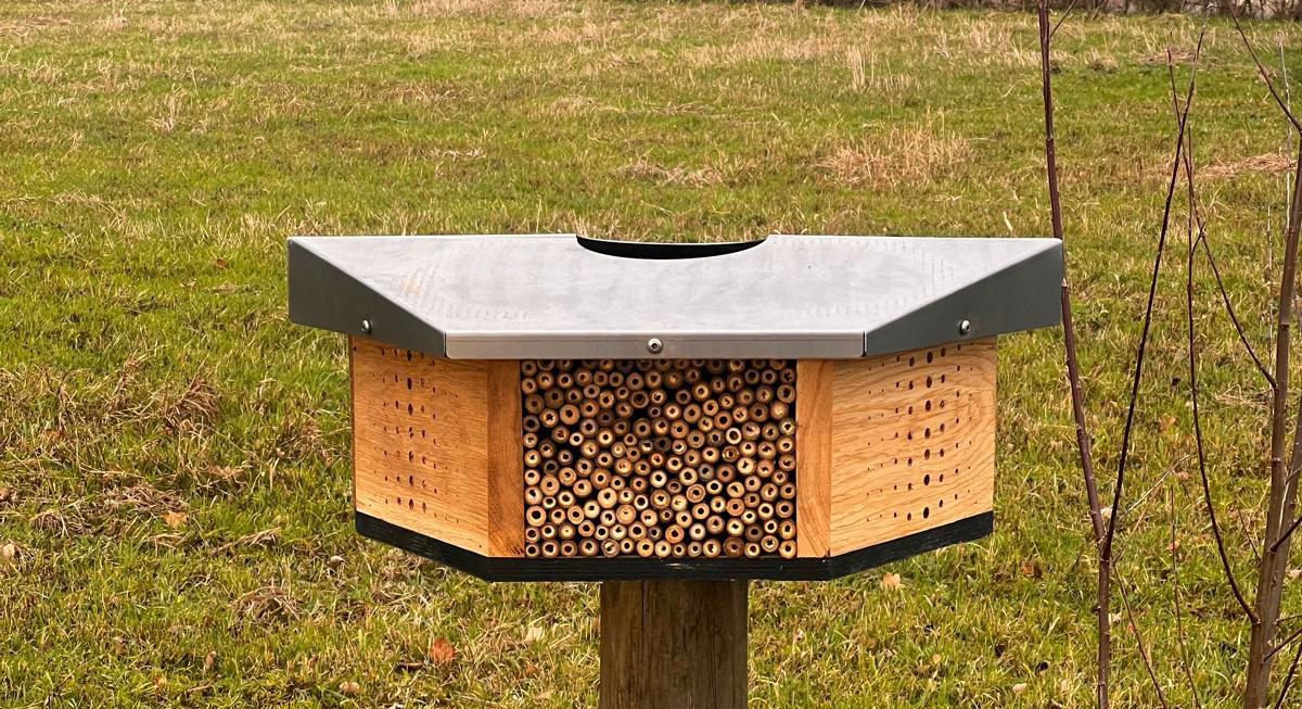 Gemeente Staphorst plaatst bijenhotels voor natuuronderzoek