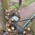 Van wilde lokken naar strakke lijnen