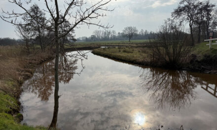 De Reest, een prachtig riviertje