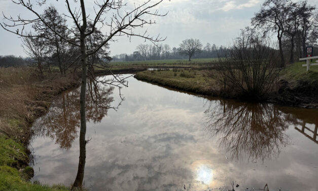 De Reest, een prachtig riviertje