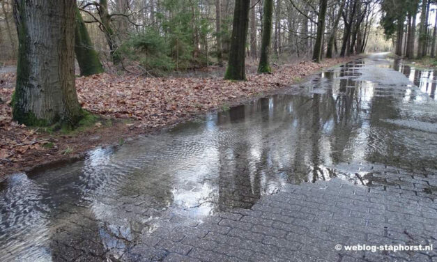 Een beetje tuin heeft een watervanger