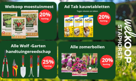 Lopende acties bij Welkoop Staphorst