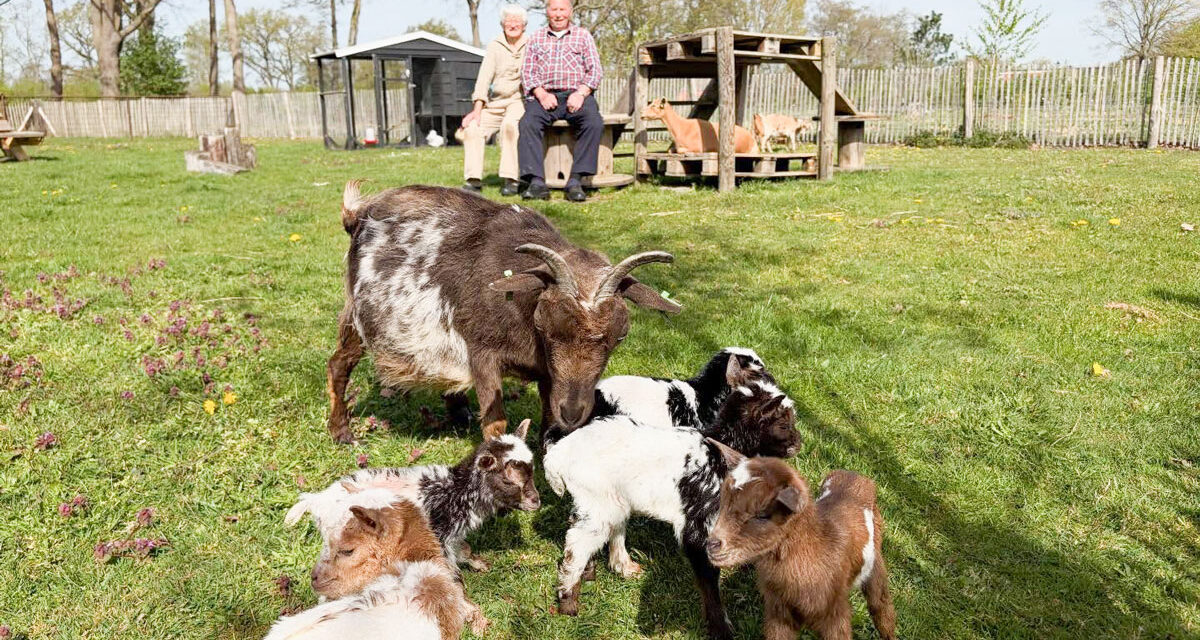 Vijfling geboren in IJhorst