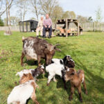 Vijfling geboren in IJhorst