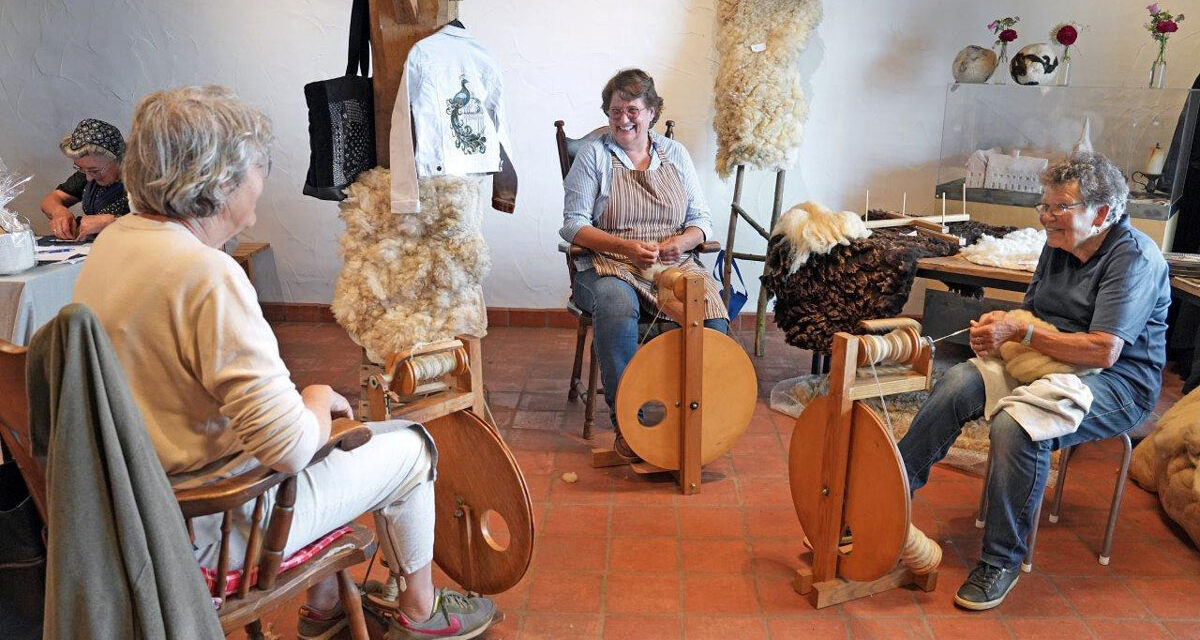 Ontdek wat je allemaal kunt doen met wol bij De Veldschuur